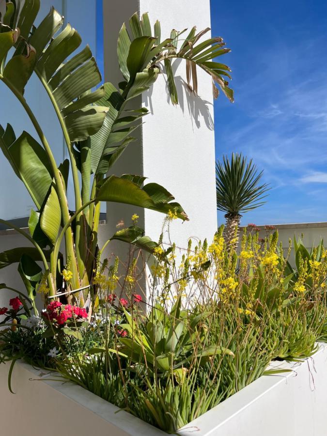 Apartmán Sky Garden Locazione Turistica Polignano a Mare Exteriér fotografie